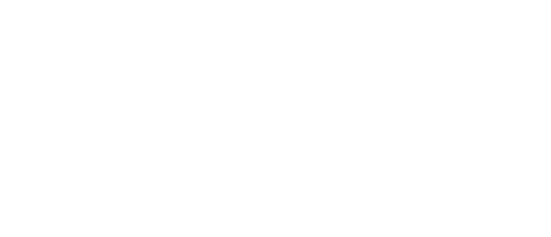 Флотилия Radisson Royal